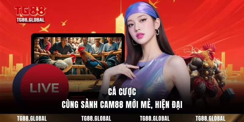 Cá cược cùng sảnh CAM88 mới mẻ, hiện đại
