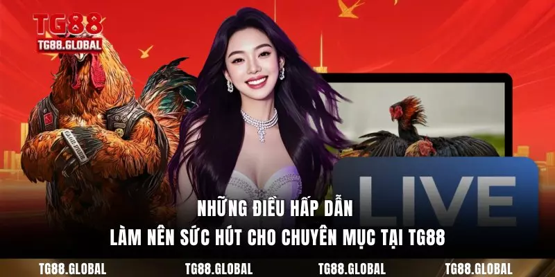 Những điều hấp dẫn làm nên sức hút cho chuyên mục tại TG88