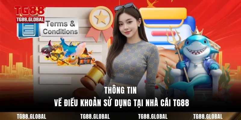 Thông tin về điều khoản sử dụng tại nhà cái TG88